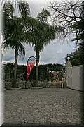 IMG_3538.jpg