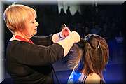 IMG_3832.jpg
