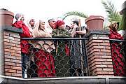 IMG_8177.jpg