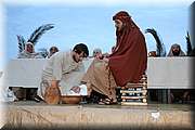 IMG_8233.jpg