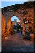 IMG_8242.jpg