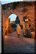 IMG_8243.jpg