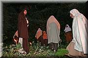 IMG_8250.jpg