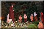 IMG_8251.jpg