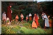IMG_8252.jpg