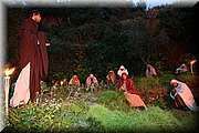 IMG_8260.jpg