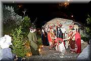 IMG_8353.jpg