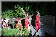 IMG_8356.jpg