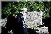 IMG_8358.jpg