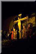 IMG_8390.jpg