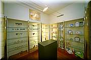 IMG_9464.JPG