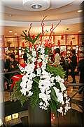 IMG_9480.JPG
