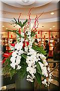 IMG_9481.JPG