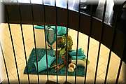 IMG_9484.JPG