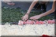 IMG_4012.jpg