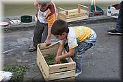 IMG_4015.jpg