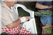 IMG_4026.jpg