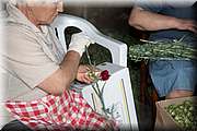 IMG_4027.jpg