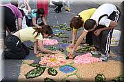 IMG_4040.jpg