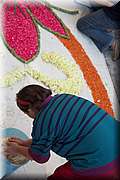 IMG_4079.jpg