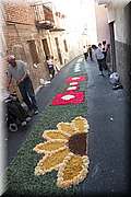IMG_4097.jpg