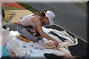 IMG_4115.jpg