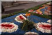 IMG_4152.jpg