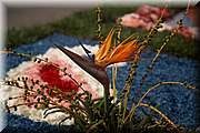 IMG_4153.jpg