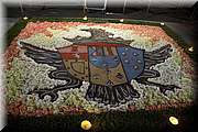 IMG_4154.jpg