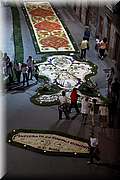 IMG_4163.jpg