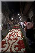 IMG_4206.jpg