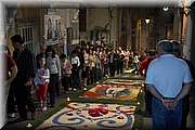 IMG_4211.jpg