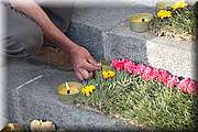 IMG_4251.jpg