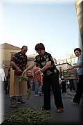 IMG_4258.jpg