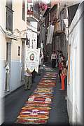 IMG_4313.jpg