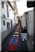 IMG_4314.jpg