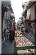 IMG_4333.jpg
