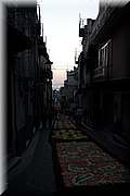 IMG_4335.jpg