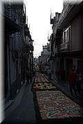 IMG_4336.jpg