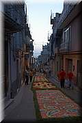 IMG_4337.jpg