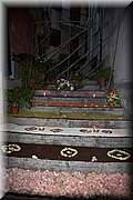 IMG_4338.jpg