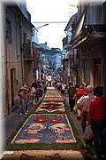 IMG_4341.jpg
