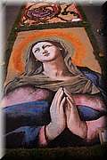 IMG_4342.jpg