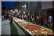 IMG_4379.jpg