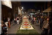 IMG_4389.jpg