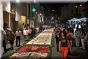 IMG_4393.jpg
