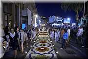 IMG_4398.jpg