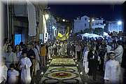 IMG_4401.jpg