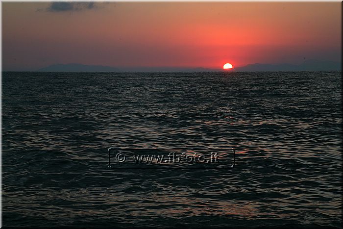 IMG_8438.jpg