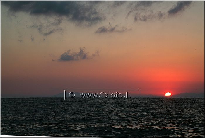 IMG_8439.jpg